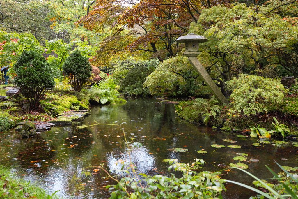 Japanse Tuin in de herfst. Japanse vijver.