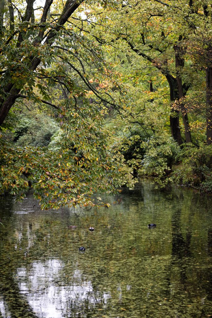 Japanse Tuin in de herfst. Park Clingendael.