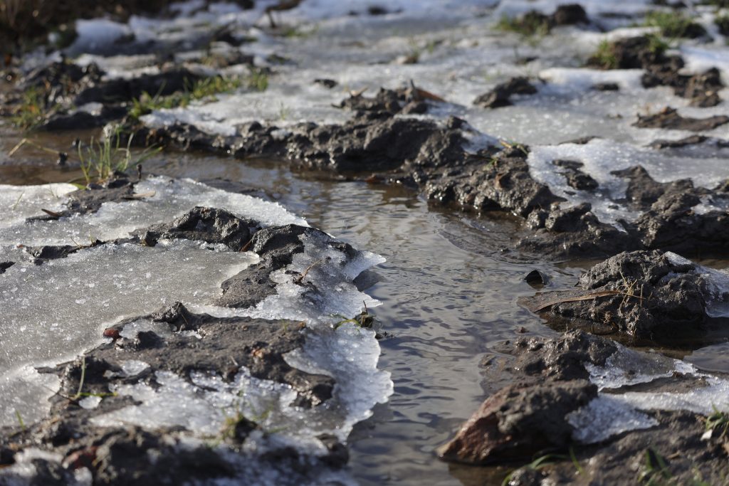 Landschapsfotografie in Buytenpark Zoetermeer. Lijnenspel, Invoerpunt en Kijkrichting.