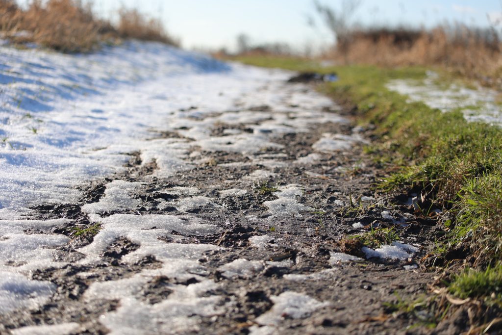 Landschapsfotografie in Buytenpark Zoetermeer.