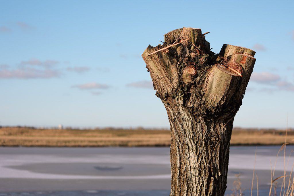 Landschapsfotografie Buytenpark Zoetermeer. De Regel van Derden.