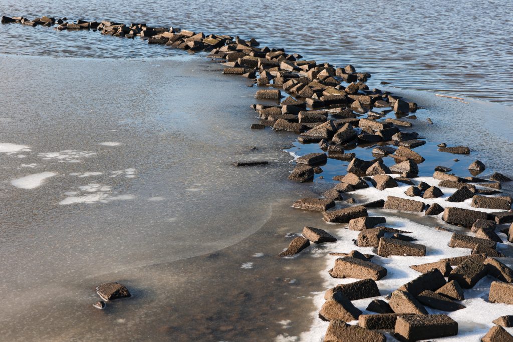 Landschapsfotografie in Buytenpark Zoetermeer. Voeg een voorgrondelement toe met structuur om diepte aan je foto te geven