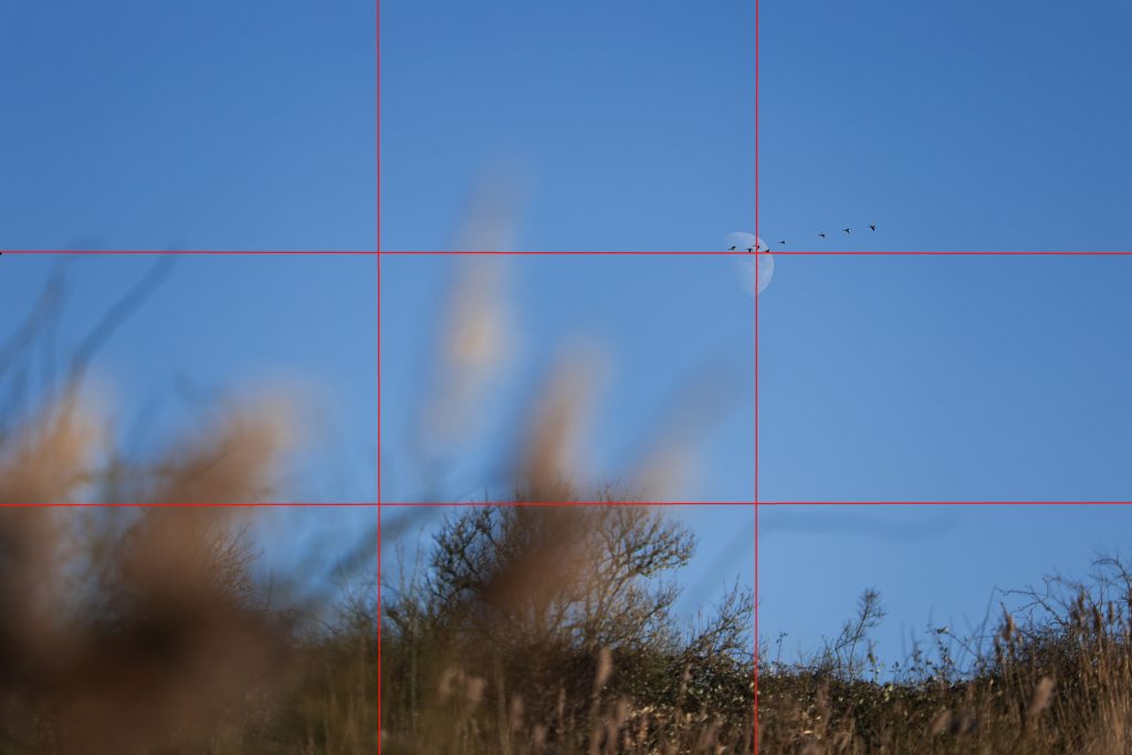 Landschapsfotografie Buytenpark Zoetermeer. Onderwerp op Snijpunt volgens de Regels van Derden