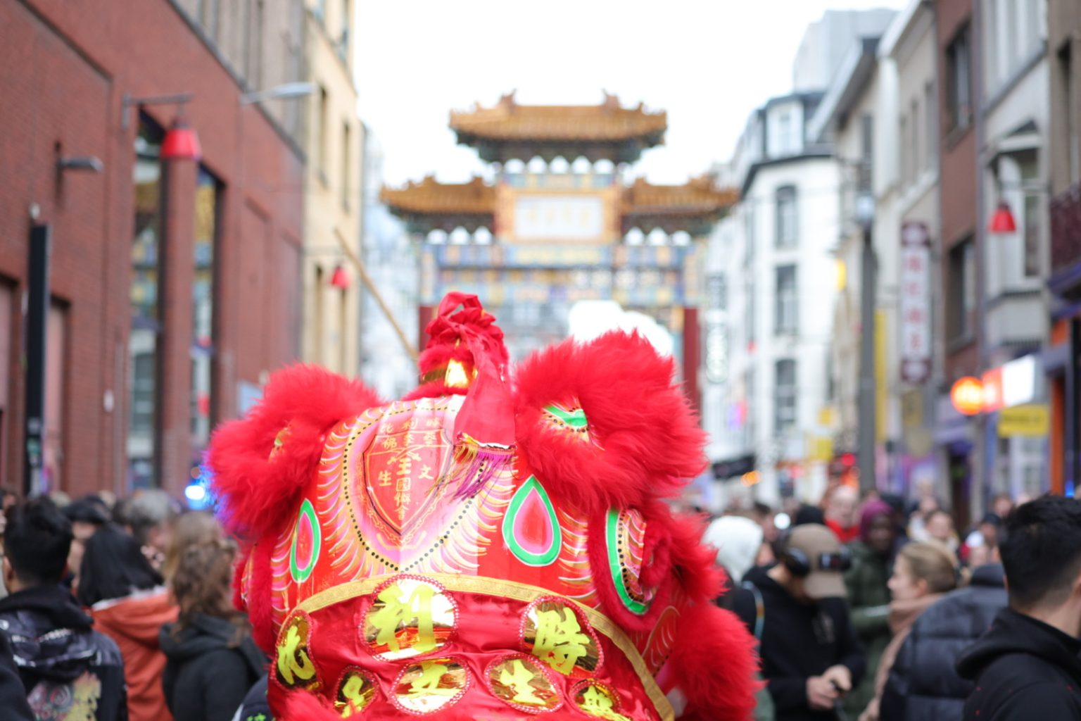 Chinees Nieuwjaar 2024: Het Jaar van de Draak in Antwerpen - Stelmaatje