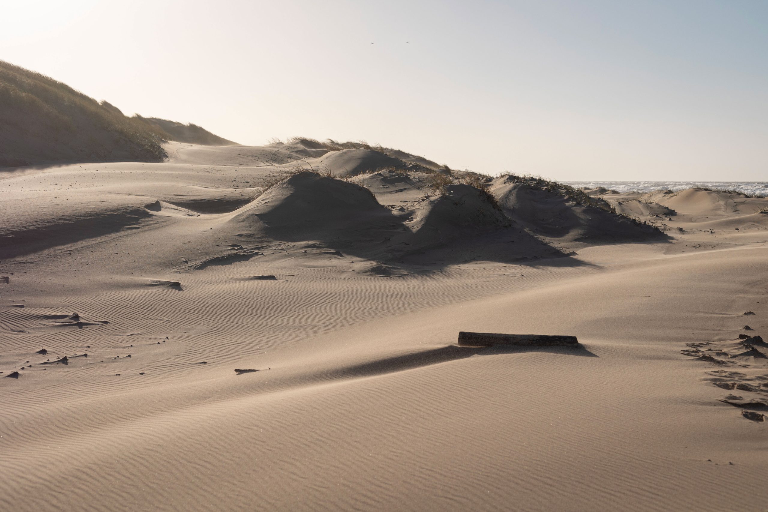 Meijendel dune area in South Holland, the Netherlands