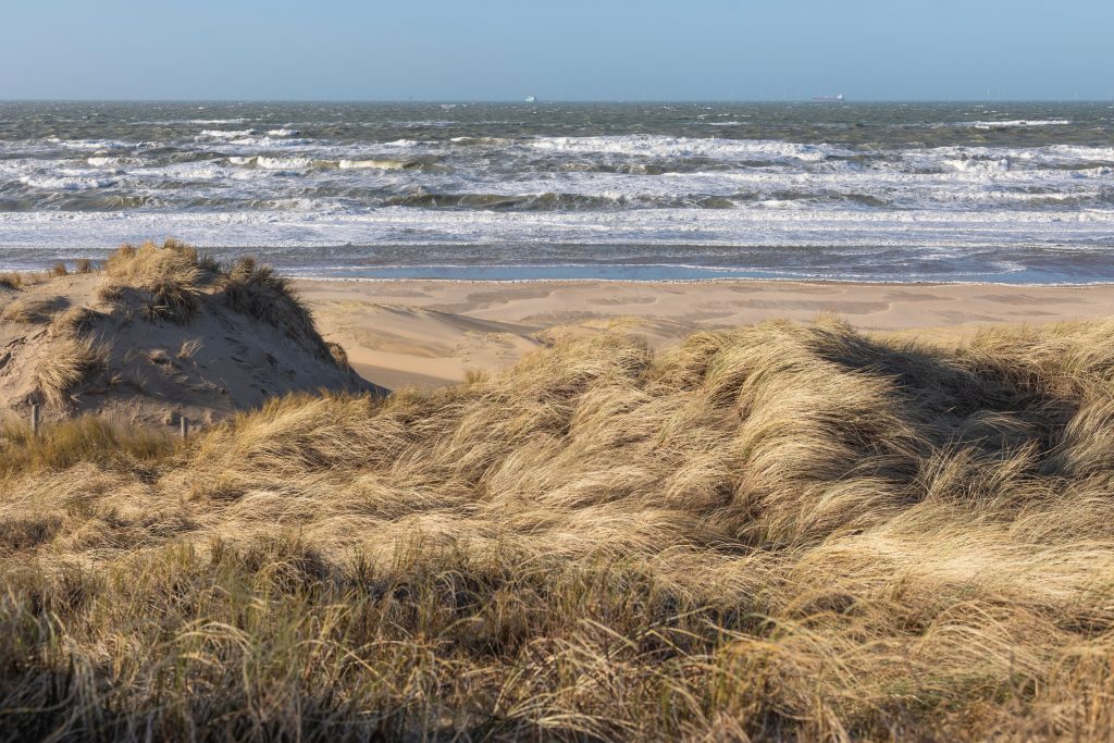 Meijendel dunes and sea.