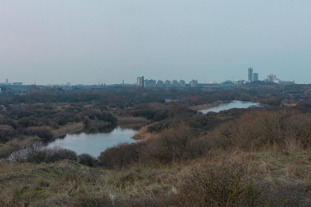 Meijendel landschap. Skyline Den Haag.