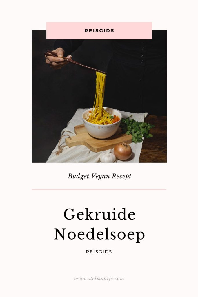 Reisgids Budget Vegan.