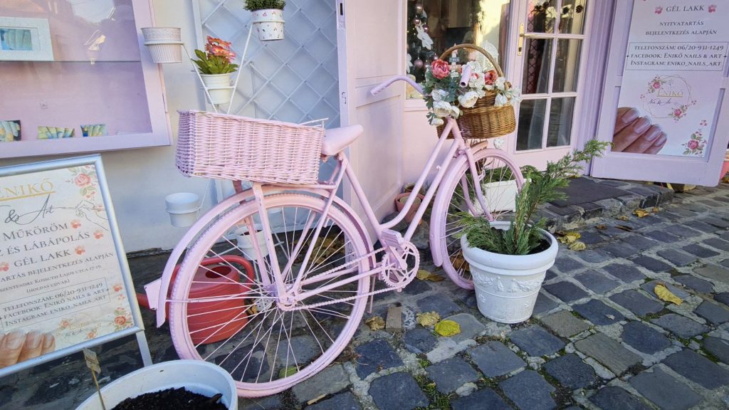 Roze Flower Bike.