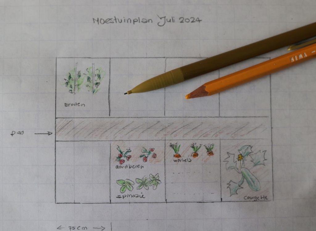 Moestuin in maart. Moestuinplan.