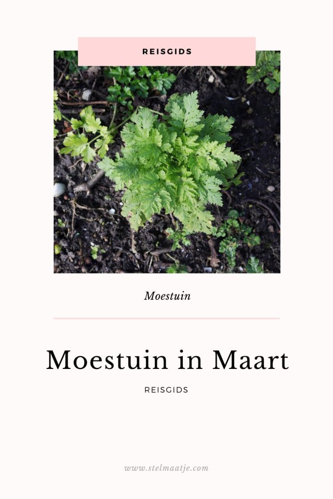 Reisgids moestuin in maart.