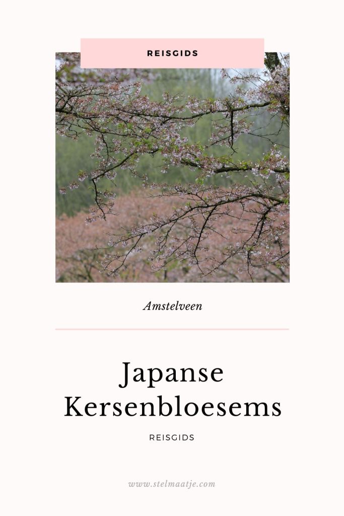 Reisgids. Japanse Kersenbloesems.