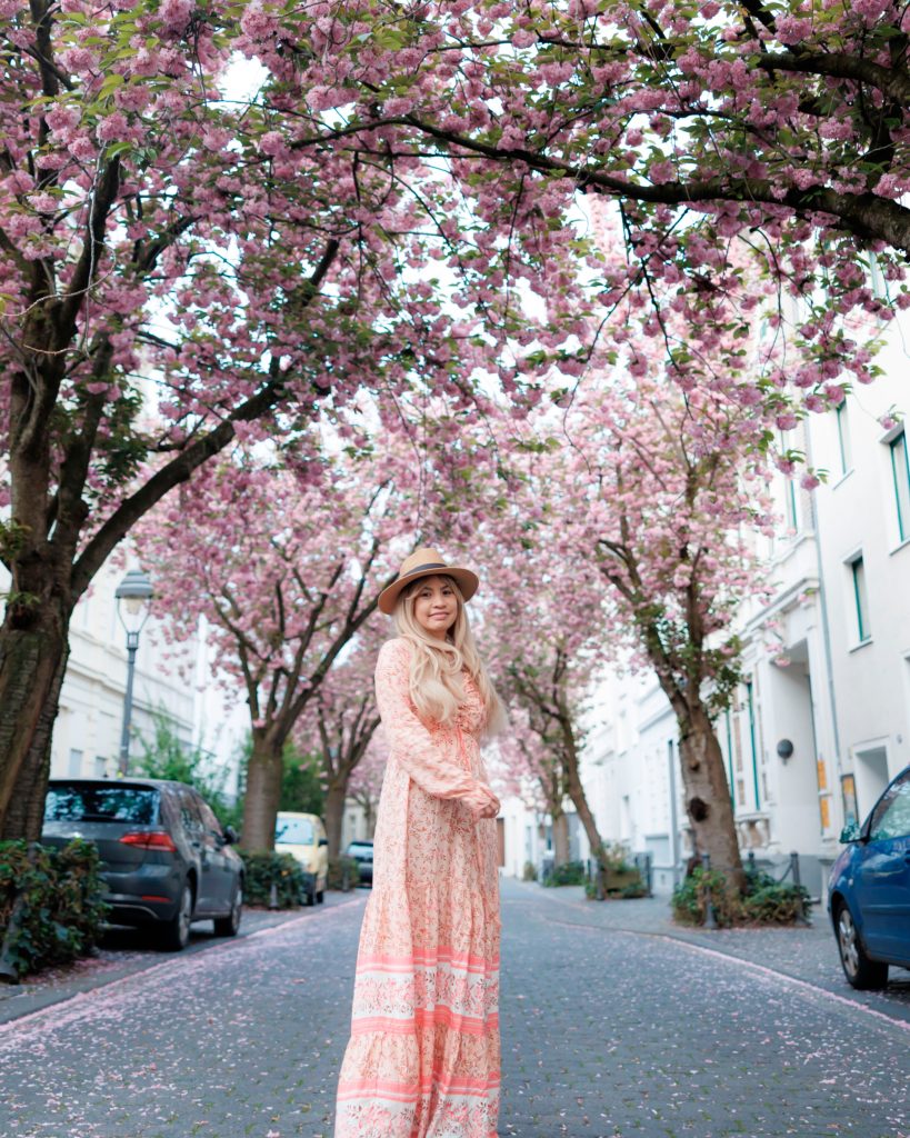 Kersenbloesems in Bonn. Fotoshoot.