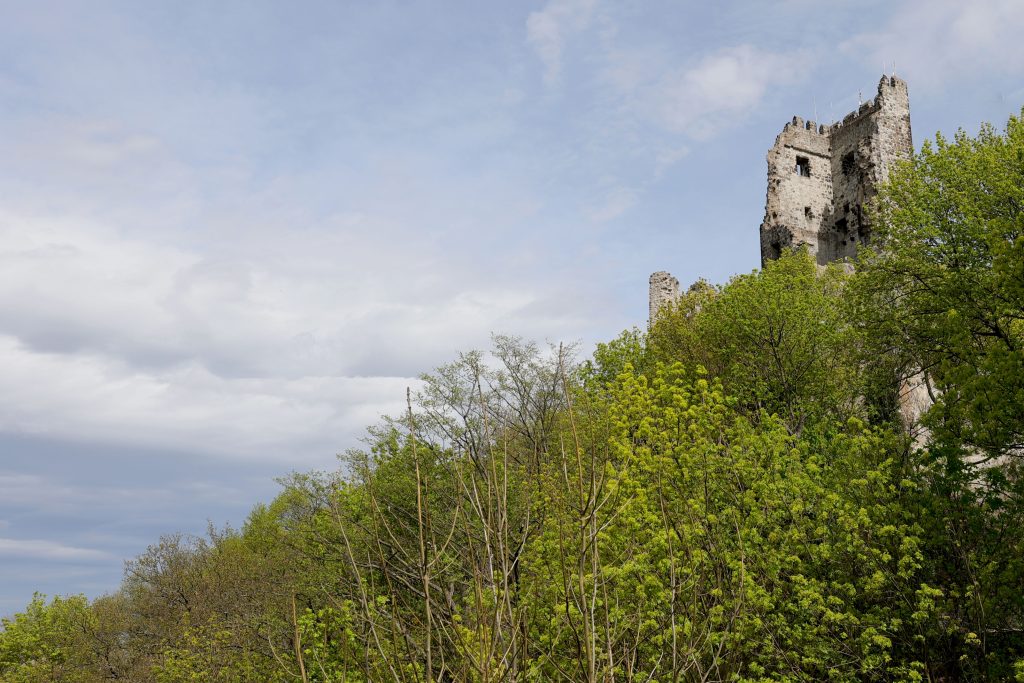 Burg Drachenfels.