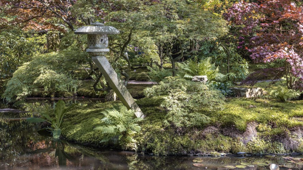 Japanse Tuin in het voorjaar