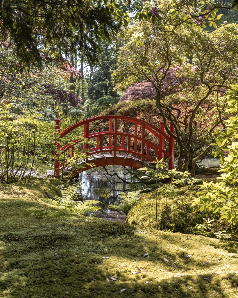 Japanse Tuin in mei 2024