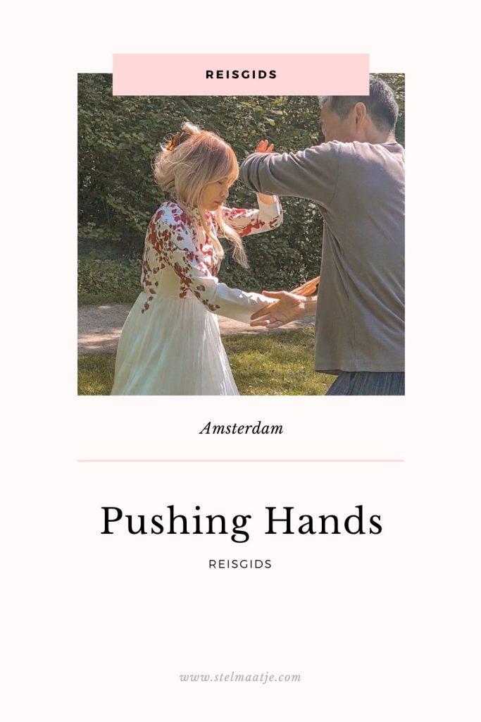 Reisgids Pushing Hands