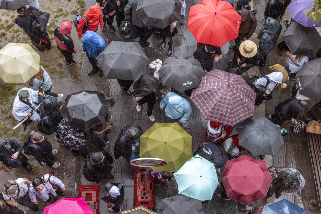 Umbrellas. Rain at Japan Day.