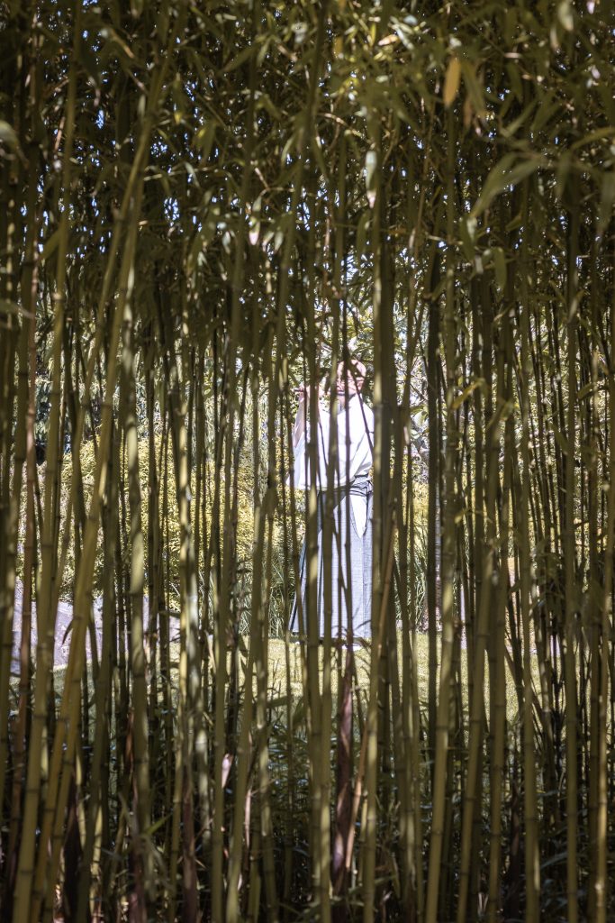 Japanese Bamboo flute.