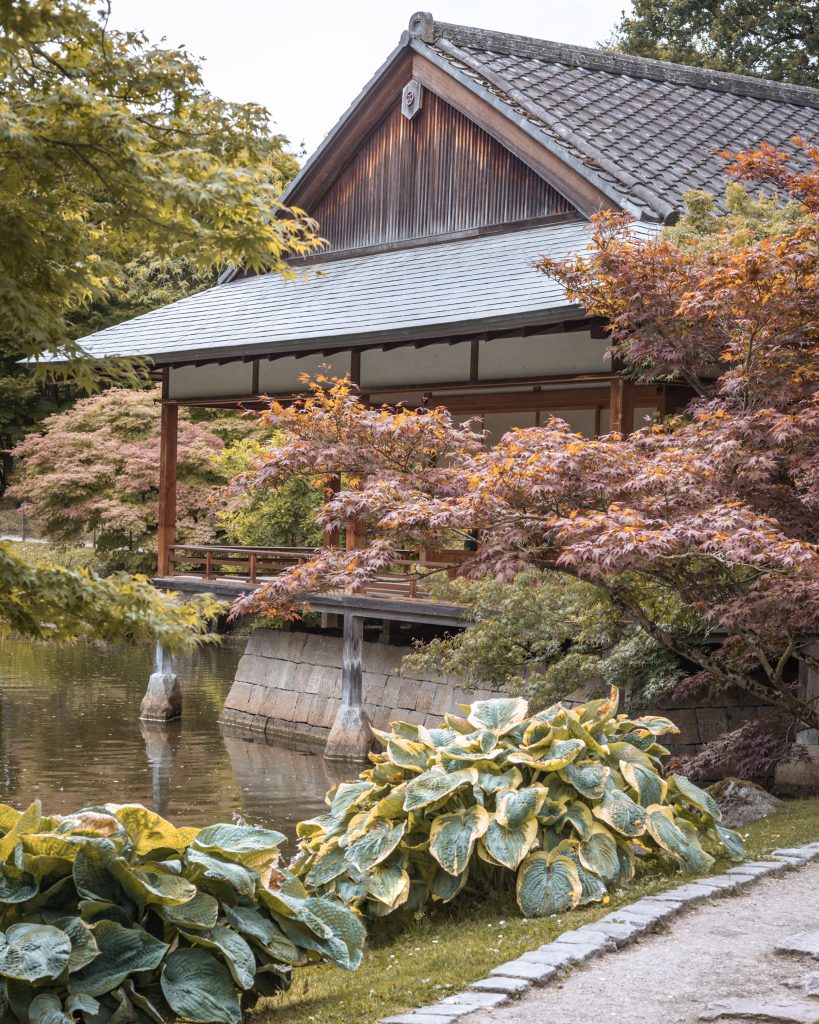 Japanse tuin Hasselt. Aziatische evenementen in Augustus 2024.